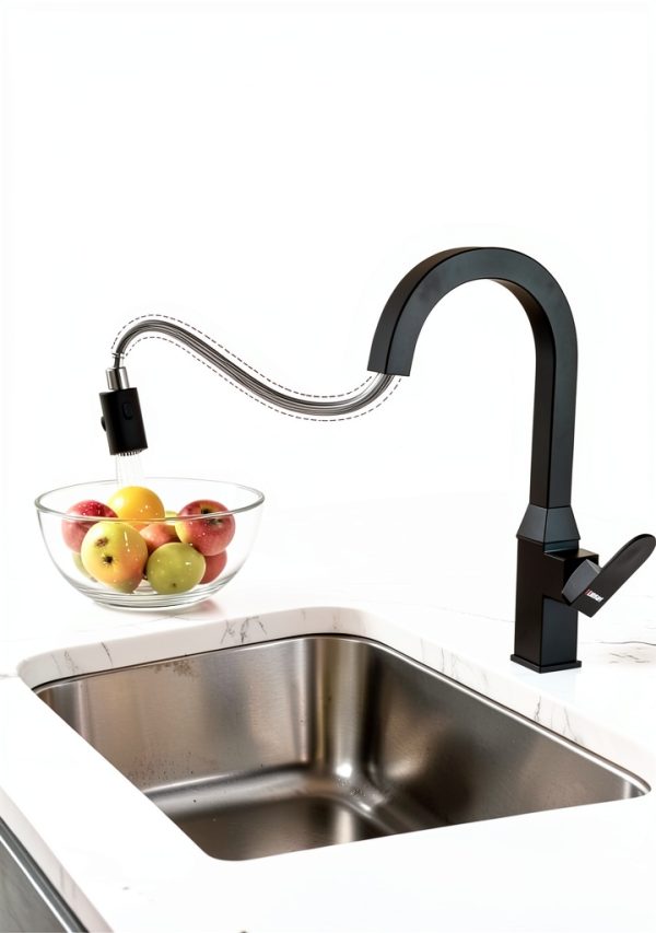DAYONE Kitchen Faucet Black 360 Swivel Dual Sprayer DAY-CR2232-3