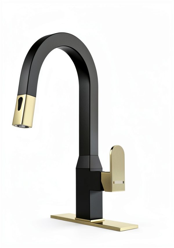 DAYONE Kitchen Faucet Black 360 Swivel Dual Sprayer DAY-CR2232-1