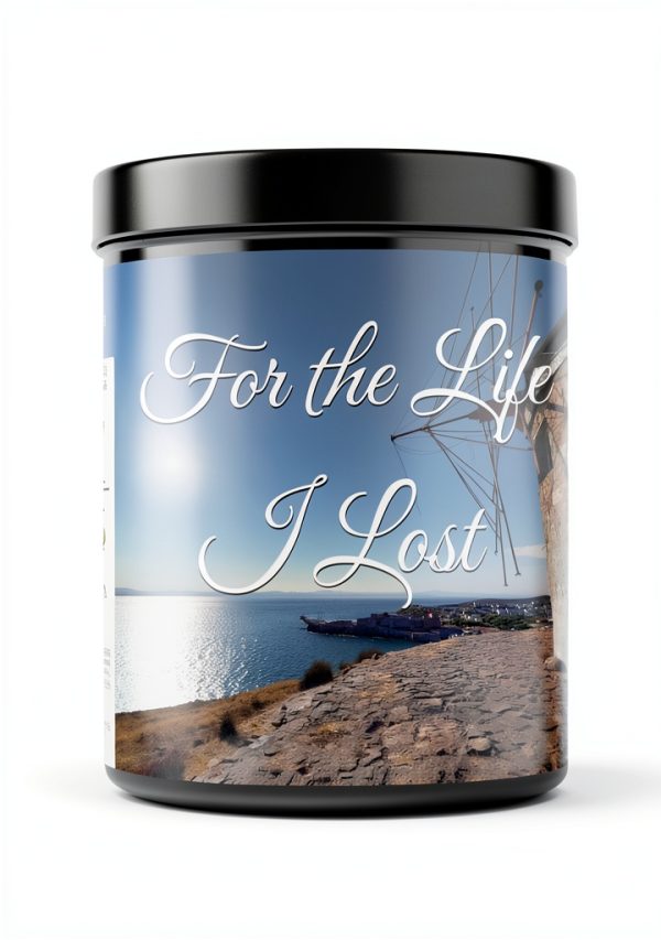 Mystery Thriller Short Read Kindle Edition 11‑Page Quick Story-0